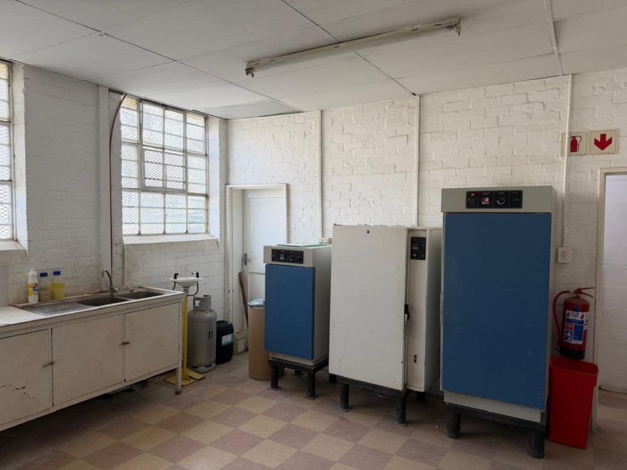 To Let Commercial Property for Rent in Gants Plaza Western Cape